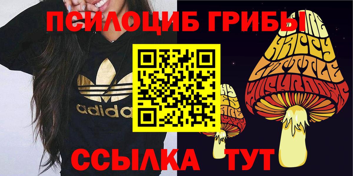 Галлюциногенные грибы GOLDEN TEACHER Михайловск