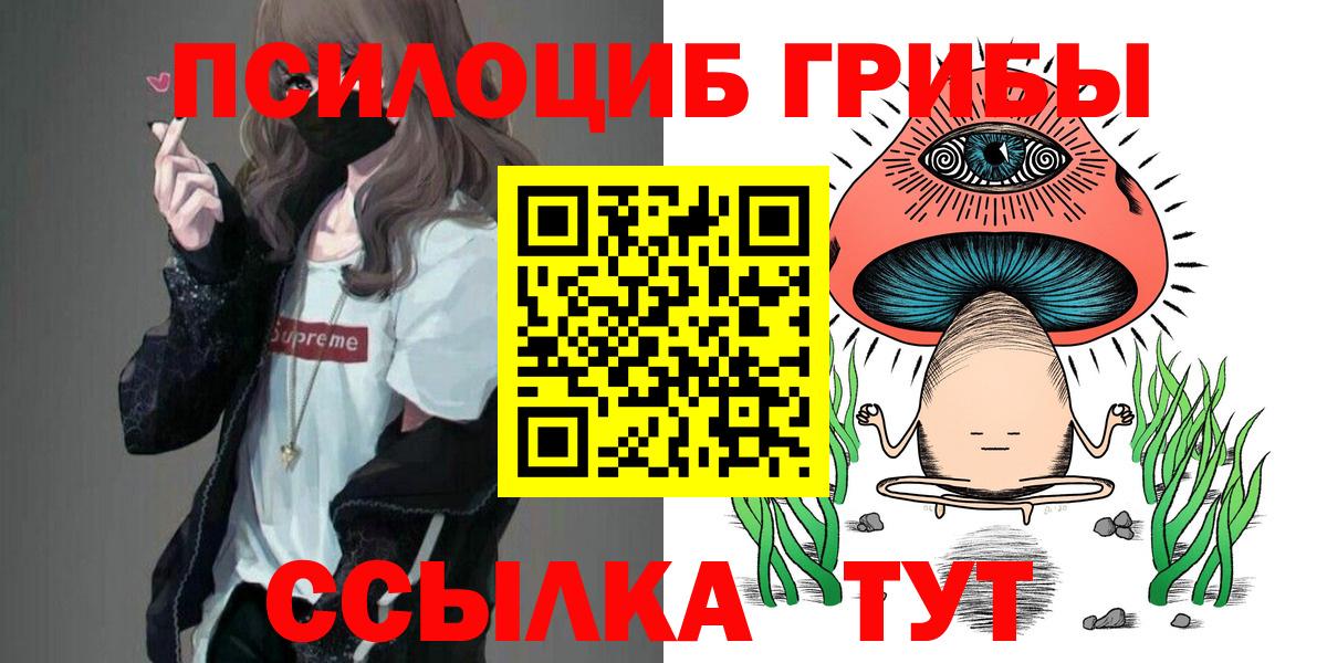 Галлюциногенные грибы GOLDEN TEACHER  Псилоцибиновые грибы Cubensis  Михайловск  Вход с VPN 